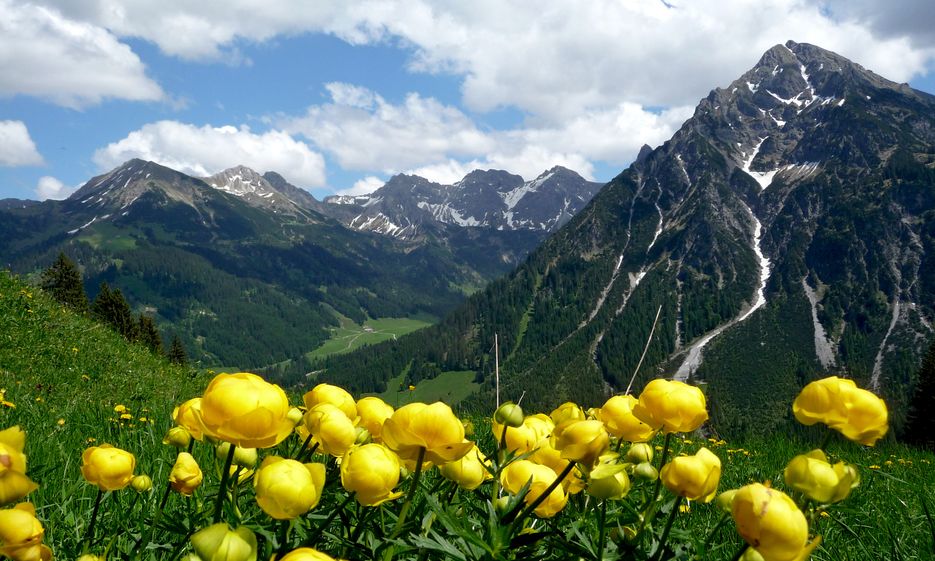 Bergbahnen im Kleinwalsertal