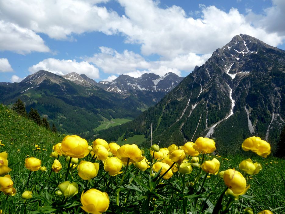 Bergbahnen im Kleinwalsertal